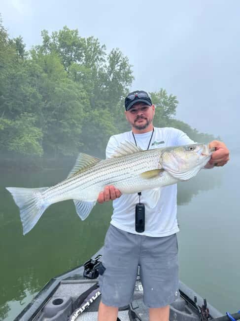 Nashville: Hybrid and Striped Bass Fishing Trip - Good To Know
