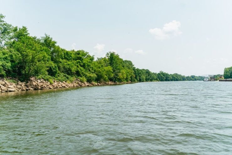 Nashville: Pontoon Party Cruise With a Captain - Good To Know