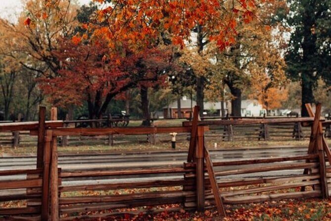 Nashville Street Food Private Tour With A Local Guide - The Experience: What You’ll Love