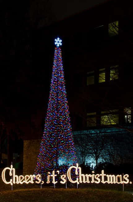 Nashvilles Holiday Harmony: A Private Christmas Melody Tour - Good To Know