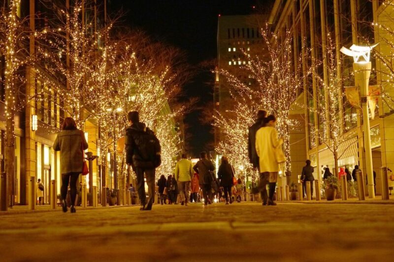 Nashvilles Holiday Harmony: A Private Christmas Melody Tour - What Makes This Tour Stand Out?
