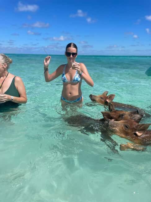 Nassau: 3-Island Snorkel Tour with Pigs, Beach Club, & Lunch - FAQs