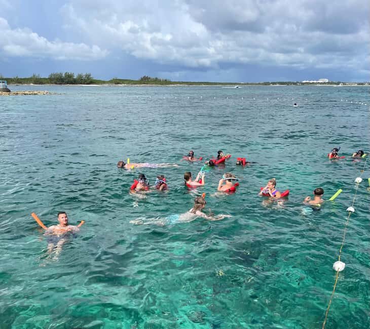 Nassau: 3 Islands Boat w/ Swimming Pigs, Snorkeling & Turtle - FAQ