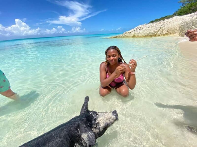Nassau: 3 Islands Tour, Snorkel, Pig Beach, Turtles & Lunch - Green Cay & Turtle Encounters