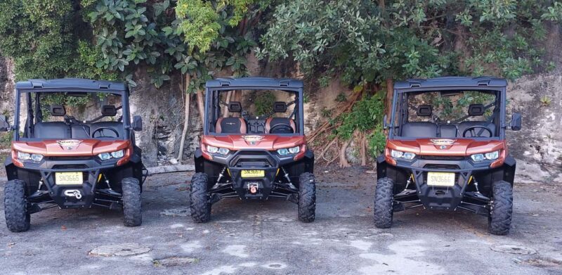 Nassau: 6-Seater Beach Buggy Rental - Final Thoughts: Is It Worth It?