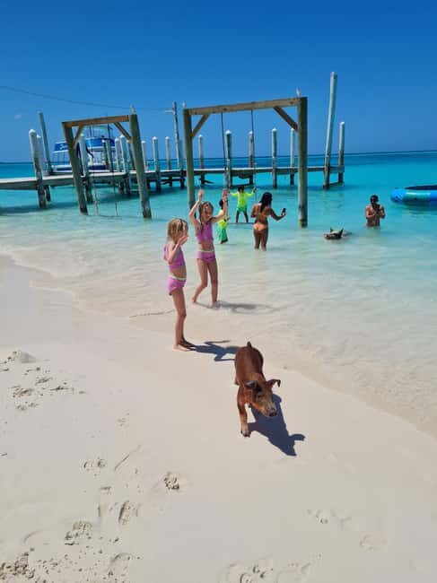 Nassau ATV & Swimming Pigs Tour - Who Will Love This Tour?