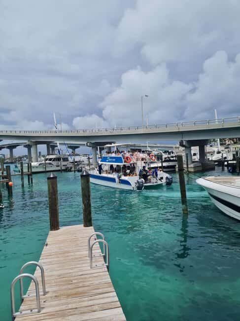 Nassau ATV & Swimming Pigs Tour - FAQ: Nassau ATV & Swimming Pigs Tour