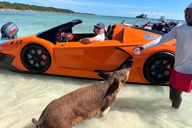 Nassau Bahamas Jetcar Excursion to Pig Island - Good To Know