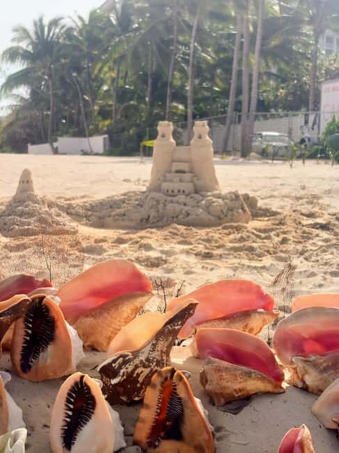 Nassau Bahamas: Sandcastle Sculpting Beach Activity & Picnic - What You Can Expect During the Tour