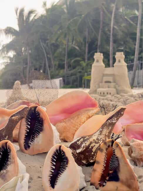 Nassau Bahamas: Sandcastle Sculpting Beach Activity & Picnic - FAQs