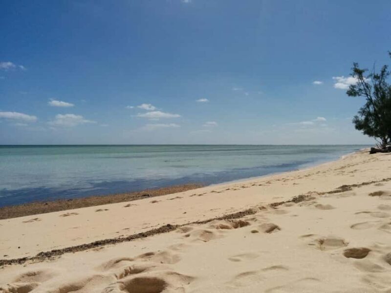 Nassau Bucket List: Private Full-Day Exploration Tour - An Honest Look at the Nassau Bucket List Tour