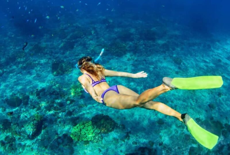 Nassau: Catamaran Sail and Snorkel Tour - The Itinerary in Detail