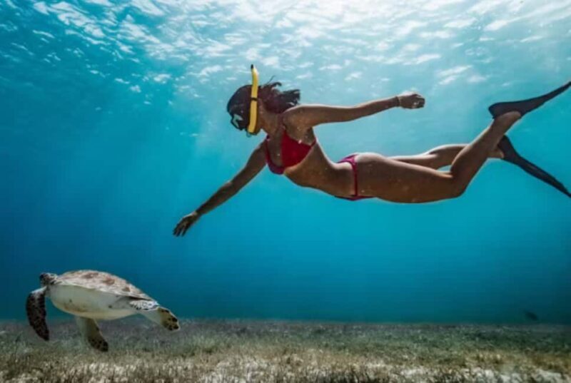 Nassau: Catamaran Sail and Snorkel Tour - FAQs