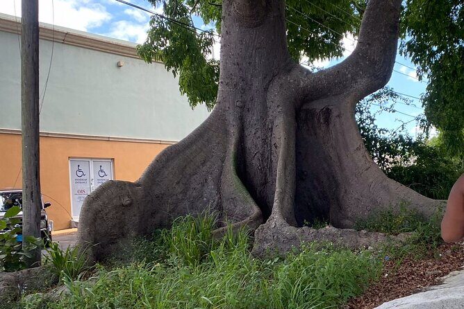 Nassau City Escape Transfer (One Way) - Final Thoughts