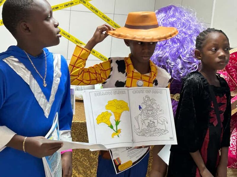 Nassau: Coloring Experience and Slave Village History Tour - The Experience in Detail