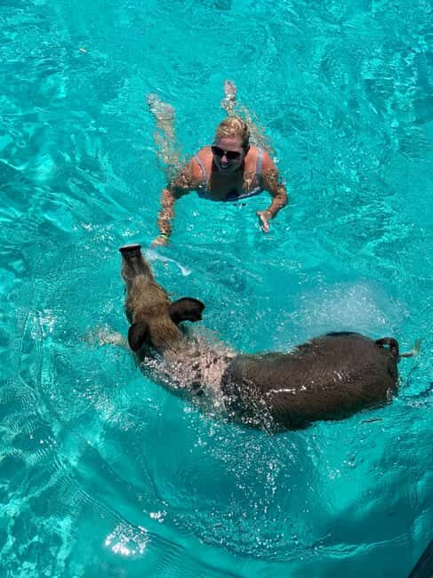 Nassau: Discover Exuma Island Hopping and Swimming Pigs Tour - The Overall Experience and Value