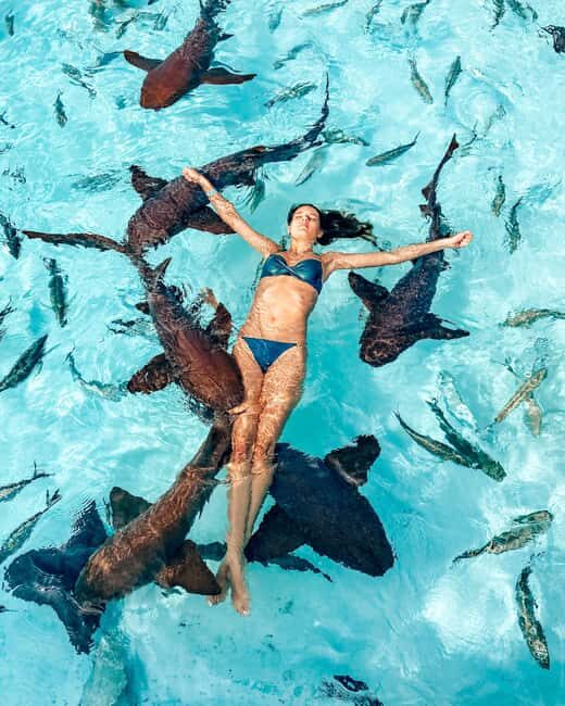 Nassau: Discover Exuma Island Hopping and Swimming Pigs Tour - FAQ