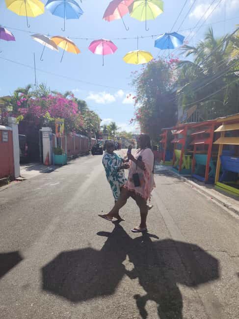 Nassau: Electric Bus Tour with Food & Drink Samples - Who Will Love This Tour?