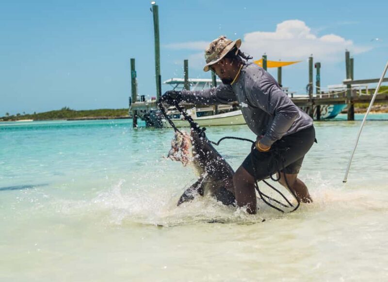 Nassau: Exuma Powerboat Day Trip - The Itinerary in Detail: What You Can Expect