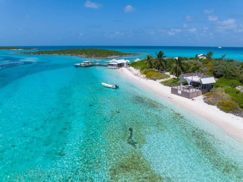 Nassau: Exuma Powerboat Day Trip - Wildlife Encounters: Pigs, Sharks, Rays, and Iguanas