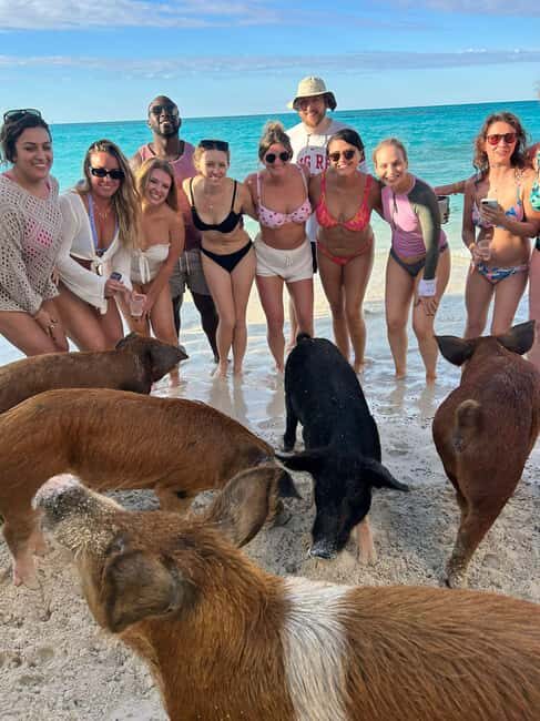 Nassau: Full-Day Party Catamaran with Private Beach & Lunch - The Itinerary and What You Can Expect