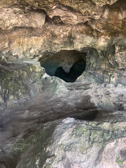 Nassau: Historic City Tour with Drink and Food Tasting - Good To Know