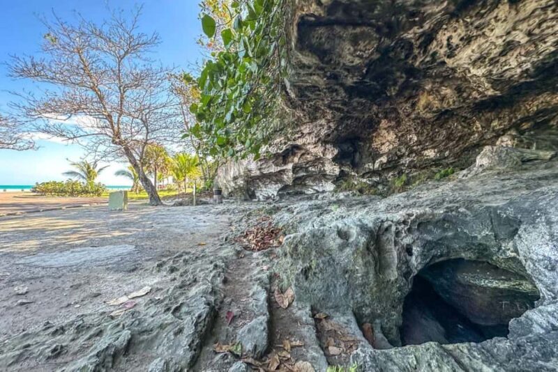 Nassau Mystery & Nature Tour: Bat Caves, Trails & Legends - Nassau Mystery & Nature Tour: Bat Caves, Trails & Legends — A Practical and Authentic Journey