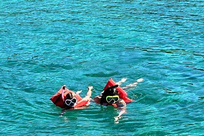 Nassau: Pig Island and Snorkeling Experience - What You Can Expect from the Tour