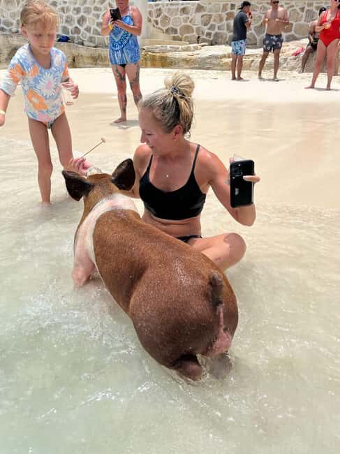 Nassau: Pigs, Snorkel, Turtles, Lunch, Private Beach Club - Good To Know