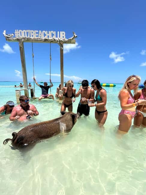 Nassau: Pigs, Snorkel, Turtles, Lunch, Private Beach Club - What Makes This Tour Stand Out