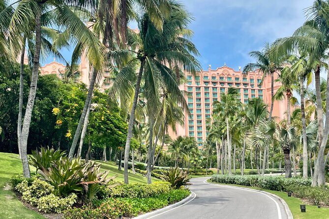 Nassau Private Airport & Cruise Port Transfer - What to Expect from the Nassau Private Transfer