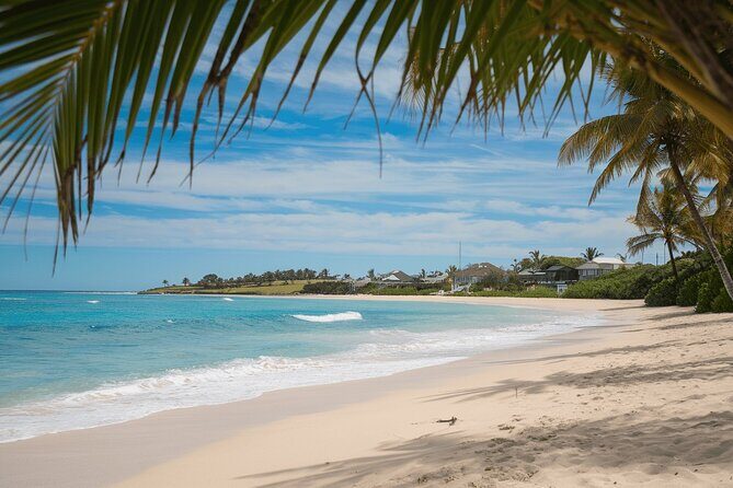 Nassau private Beach-Hopping Bliss: Soft Sands & Ocean Vibes - Good To Know