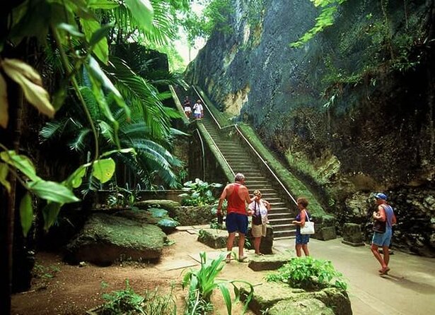 Nassau Private Half-Day Sightseeing and Tasting Tour (Feb ) - Tour Highlights