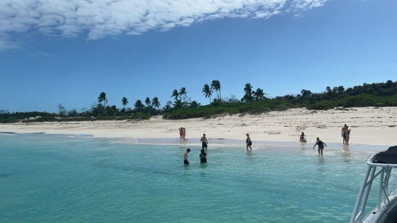Nassau: Private Island & Snorkeling, Turtles, Drinks, & BBQ - Who This Tour Is Perfect For
