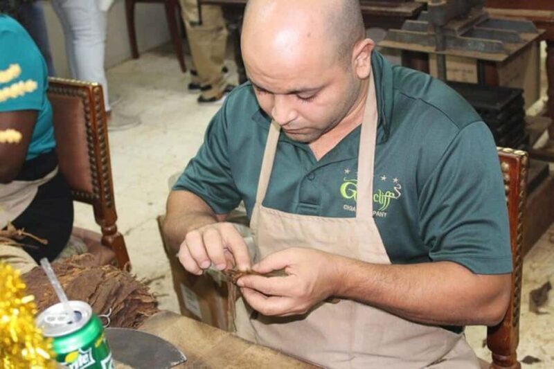 Nassau: Private Rum Reggae and Rhythms Tour - Final Thoughts: Who Will Love This Tour?