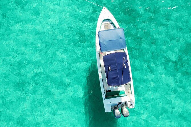 Nassau, Private Swimming Pig, Island Hopping, Snorkeling, Turtles - Good To Know