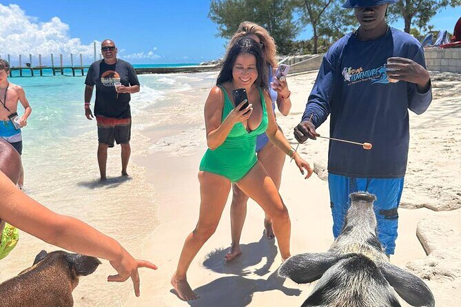 Nassau, Private Swimming Pig, Island Hopping, Snorkeling, Turtles - What to Expect on This Nassau Boat Tour