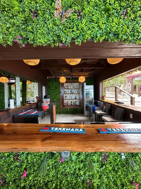 Nassau: Reef Snorkeling, Turtles, Lunch & Private Beach Club - The Itinerary: A Closer Look