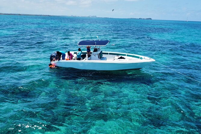 Nassau, Rose Island Private Swimming Pigs Tour - Highlights of the Swimming Pigs Experience