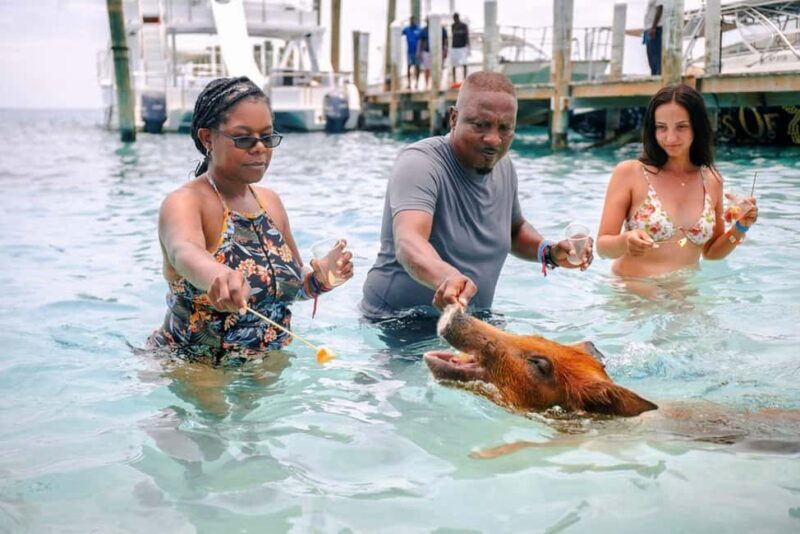 Nassau: Rose Island Swimming Pigs and Beach Day Group Tour - Practical Tips