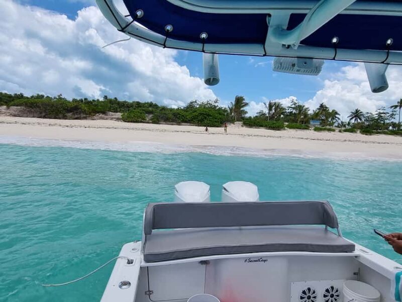 Nassau: Rose Island Swimming Pigs & Turtles Snorkeling Tour - The Experience in Detail