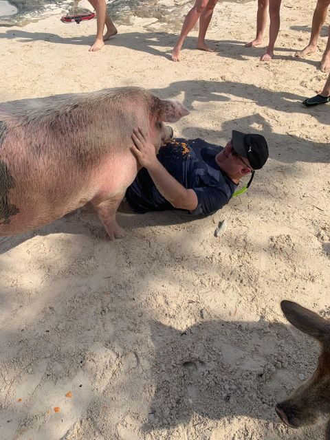 Nassau: Self-Drive Speedboat Ride and Pig Swimming Encounter - Authentic Experiences and What Travelers Love