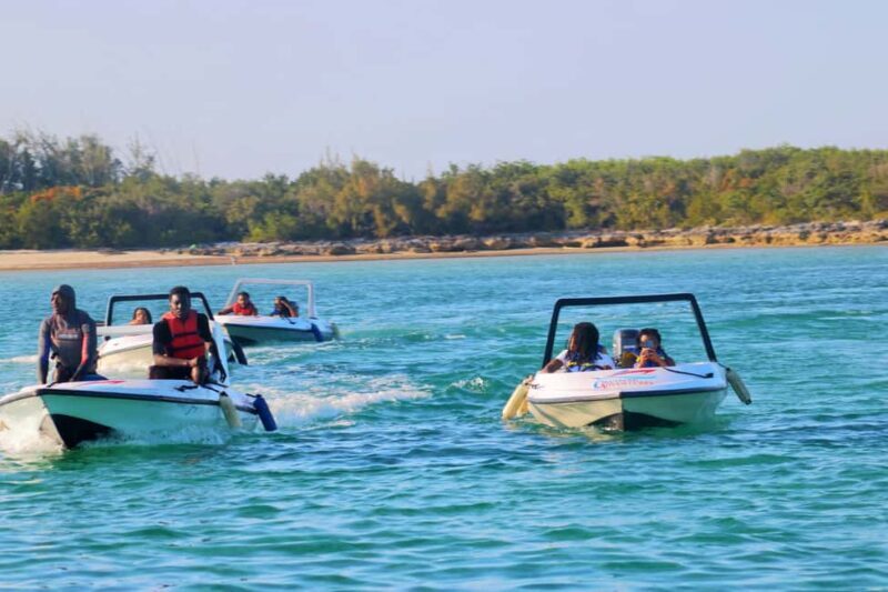 Nassau: Self-Drive Speedboat Ride and Pig Swimming Encounter - The Sum Up