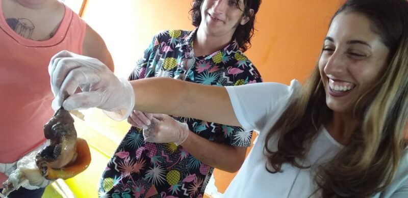 Nassau: Sip, Sample & See, Food & History Bus Tour - Good To Know