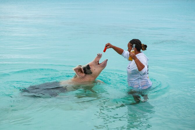 Nassau Small-Group Full-Day Exuma Tour  - New Providence Island - Activity End Location