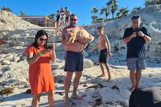 Nassau Small-Group Snorkel, Turtle, Pigs Speedboat Tour  - New Providence Island - End Point and Cancellation Policy