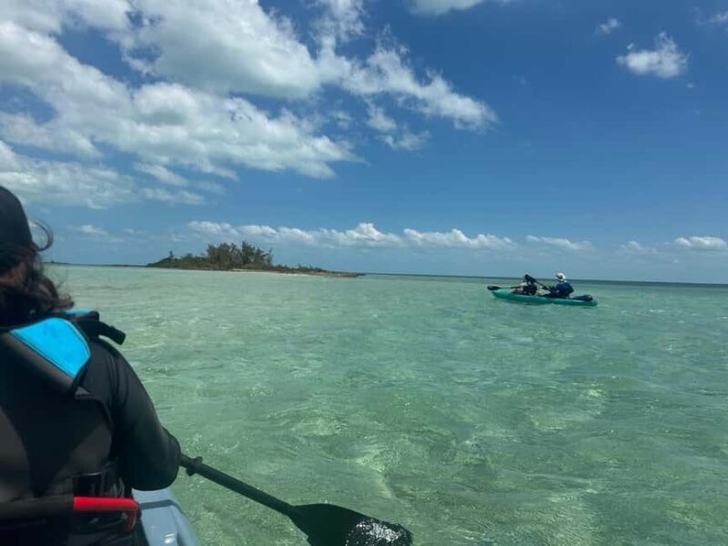 Nassau: Snorkeling and Kayaking Adventure Transport Included - An Insightful Look at the Nassau Snorkeling and Kayaking Tour