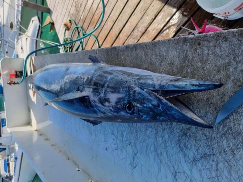 Nassau: Sport-fishing private charter . - FAQ