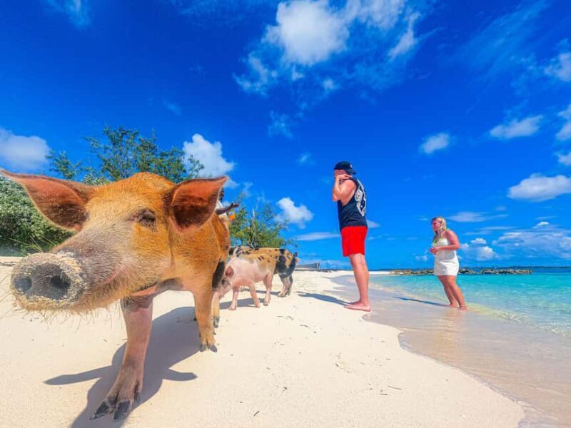 Nassau: Sun Cay and Swimming Pigs Boat Trip with Lunch - Starting Point and Logistics