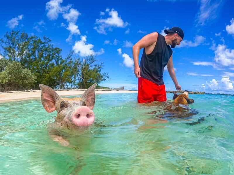 Nassau: Sun Cay and Swimming Pigs Boat Trip with Lunch - Pig Beach: The Star of the Show